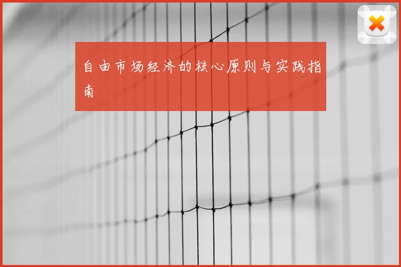 自由市场经济的核心原则与实践指南